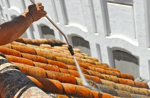 Nettoyage de toitures - Rouillac